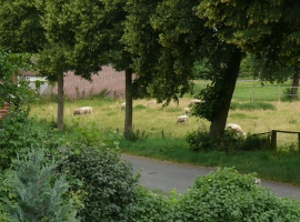 Ausschnitt: Blick vom Balkon Richtung Alte Landstrasse