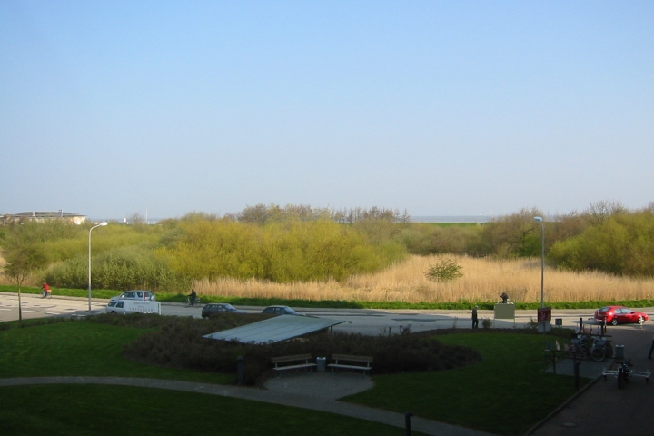 Blick Richtung Neuwerk