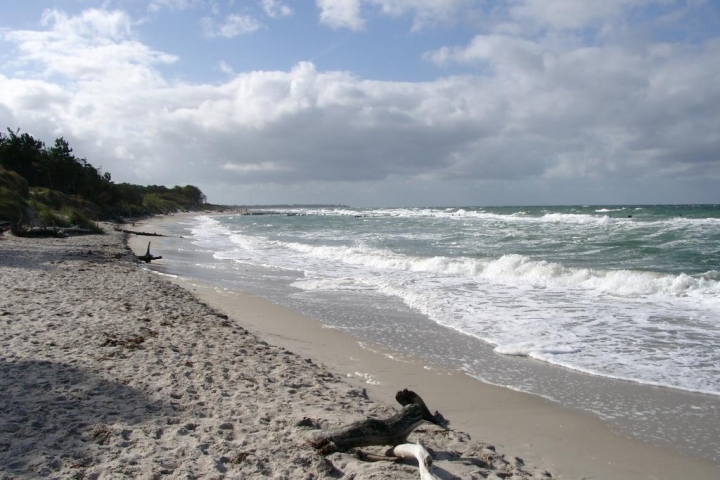 Darß, Weststrand