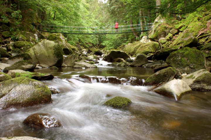 Hängebrücke Buchberger Leite