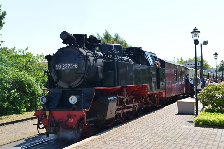 Der Molli