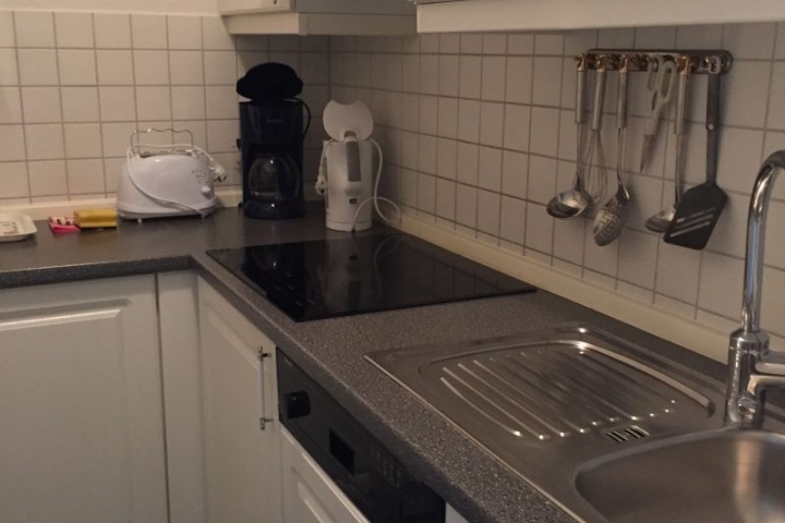 Einbauküche mit Spülmaschine und Ceranfeld