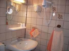 WC+Waschbecken, Seife, Kosmetikspiegel + Kosmetiktücher vorhanden.