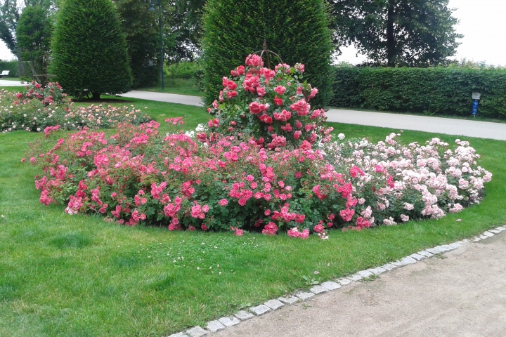 Rosengarten Promenade