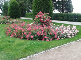 Foto 15