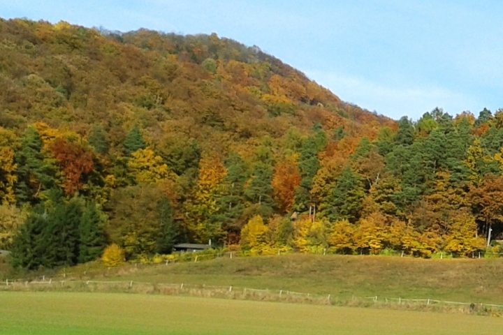 Goldener Oktober: Eingebettet in den bunten Herbstwald liegt das Ferienhaus