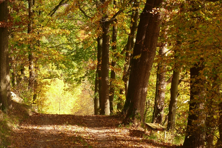 Wanderweg direkt am Haus