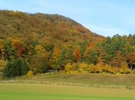 Foto 16