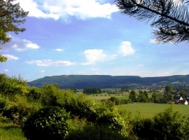 Foto 11
