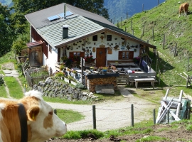 Foto 21