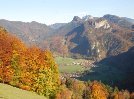 Foto 19