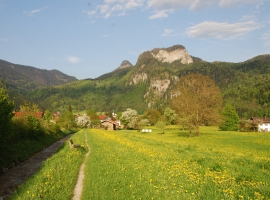 Foto 16