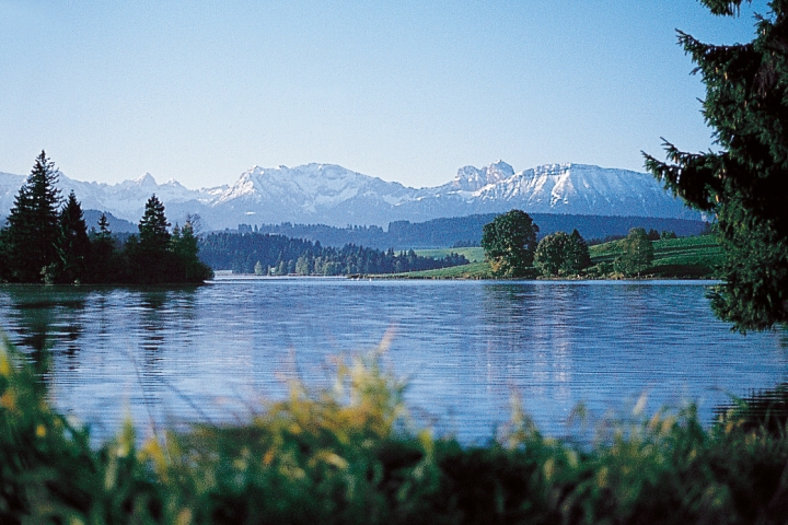 Blick über den Schwaltenweiher