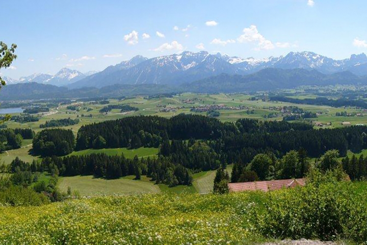 Blick über die Alpe Beichelstein