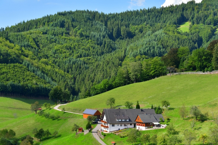Ferienhäuser Müllerbauernhof alleinstehend in freier Natur ohne Durchgangsstrasse