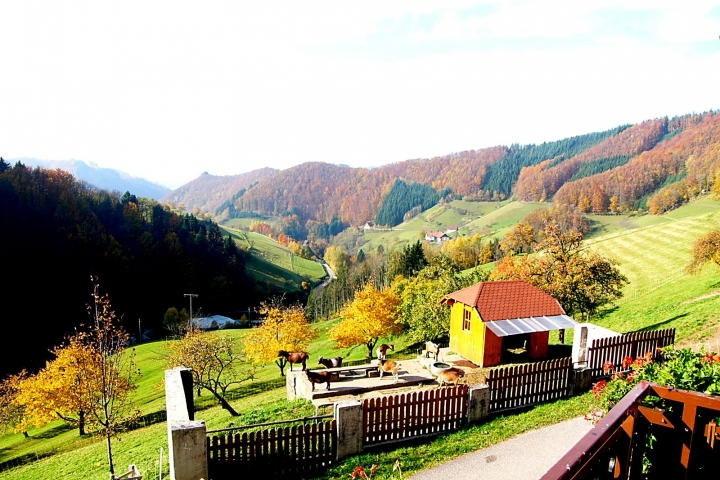 Talblick im Herbst vom Müllerbauernhof