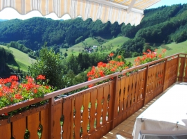 Balkon mit Markise Ferienwohnung 1 mit Panoramablick