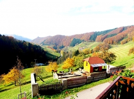 Talblick im Herbst vom Müllerbauernhof