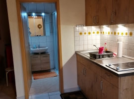 Singleküche im Appartement und DU/WC - 
