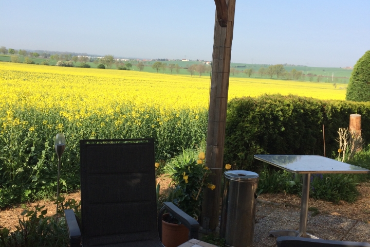 Frühstücken am Rapsfeld - Südterrasse für die Gäste