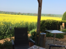 Frühstücken am Rapsfeld - Südterrasse für die Gäste