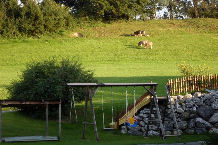 Aussicht vom Hof