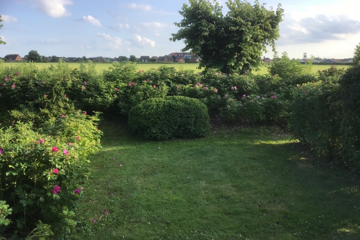 Blick von der Terrasse auf ein freies Feld