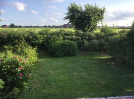 Blick von der Terrasse auf ein freies Feld 