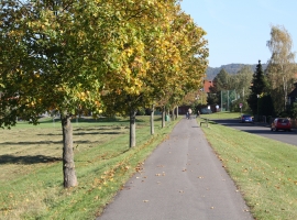 Foto 21