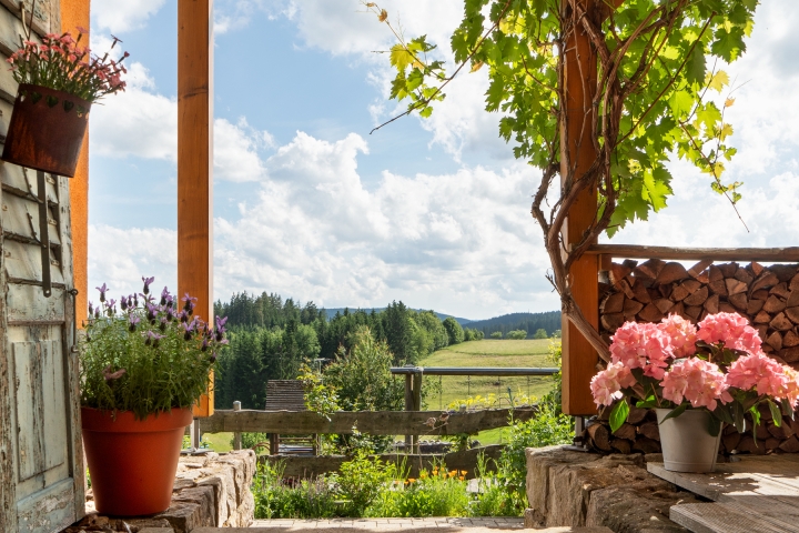 Aussicht von der Terrasse