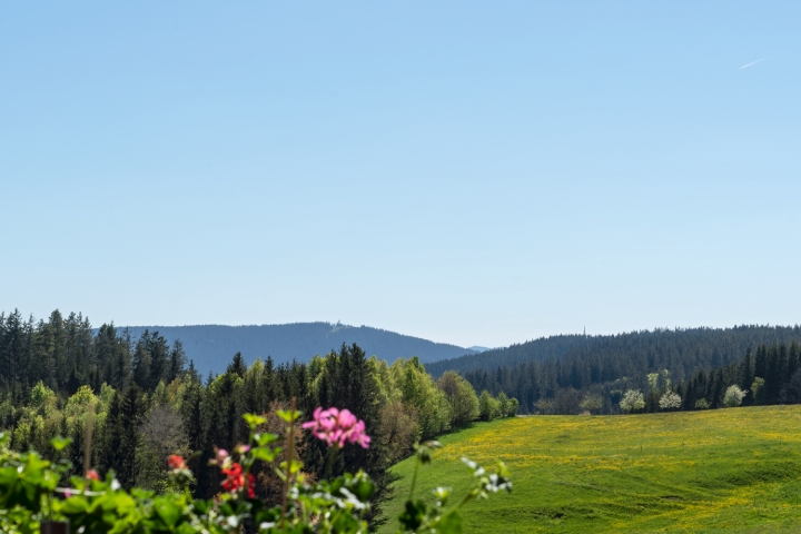 Der herrliche Ausblick vom Garten aus auf den Hochfirst