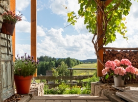 Aussicht von der Terrasse