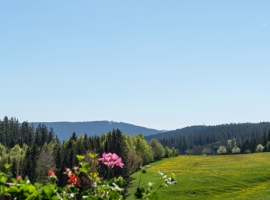 Der herrliche Ausblick vom Garten aus auf den Hochfirst