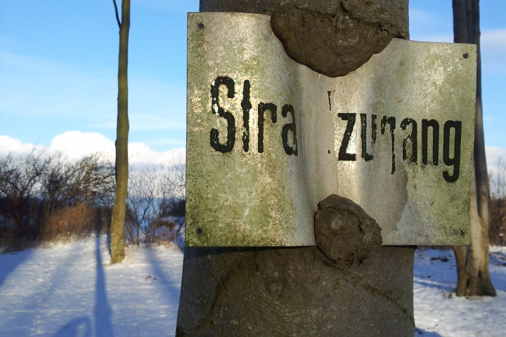 In den Dünen..