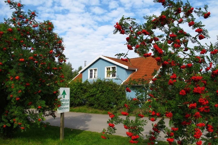 Ferienwohnungen im Müritzparadies | Ferienhaus Typ 