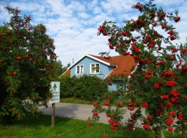 Ferienhaus Typ D - Foto 1