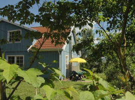 Terrasse Ferienhaus 