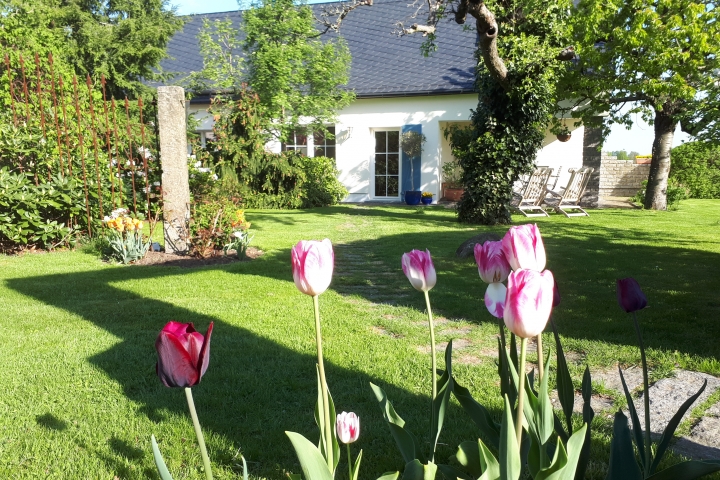 Frühling im Sachsenland
