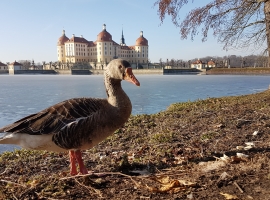 Foto 21