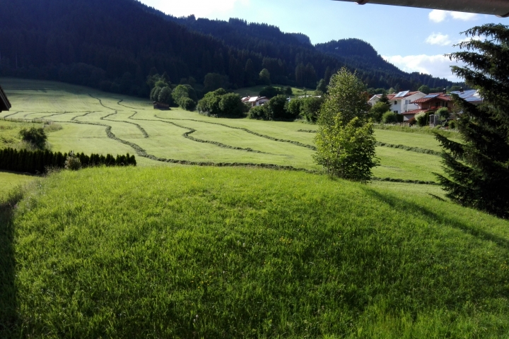 Heuernte ,Blick vom Schlafzimmer