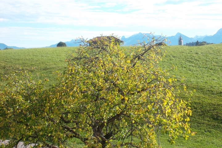 Ausblick vom Balkon auf die Allgäuer Alpen