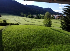 Foto 9