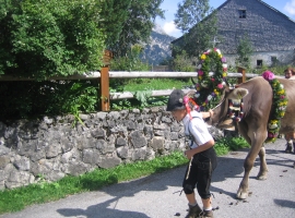 Foto 14