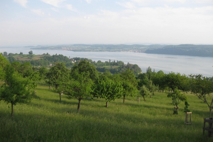 ...unvergessliche Eindrücke vom Bodensee...