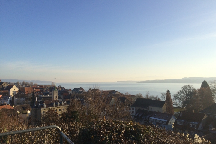 ... Ausblick Überlinger Stadtgarten auf die Altstadt und den See ...