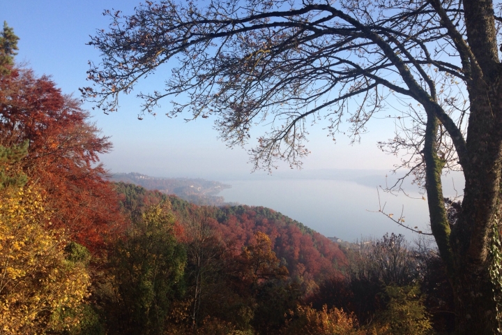... Herbststimmung Haldenhof