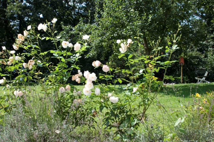 ...unser Garten...