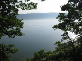 Foto 10