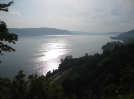 Foto 11