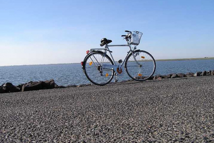 Sehr beliebt!! Fahrrad fahren über den Deich
